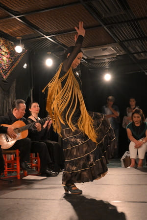 2025フラメンコ発表会